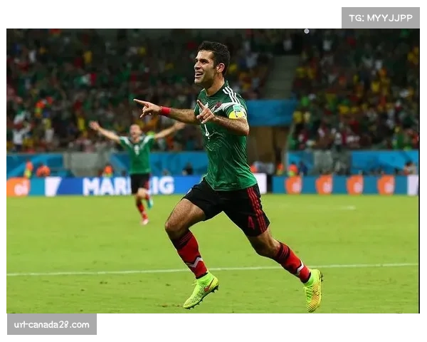 雷恩训练基地对媒体开放，主教练强调保持专注